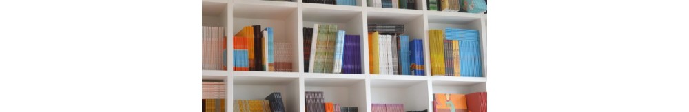 Regały i półki do salonu – dobra organizacja wnętrza!